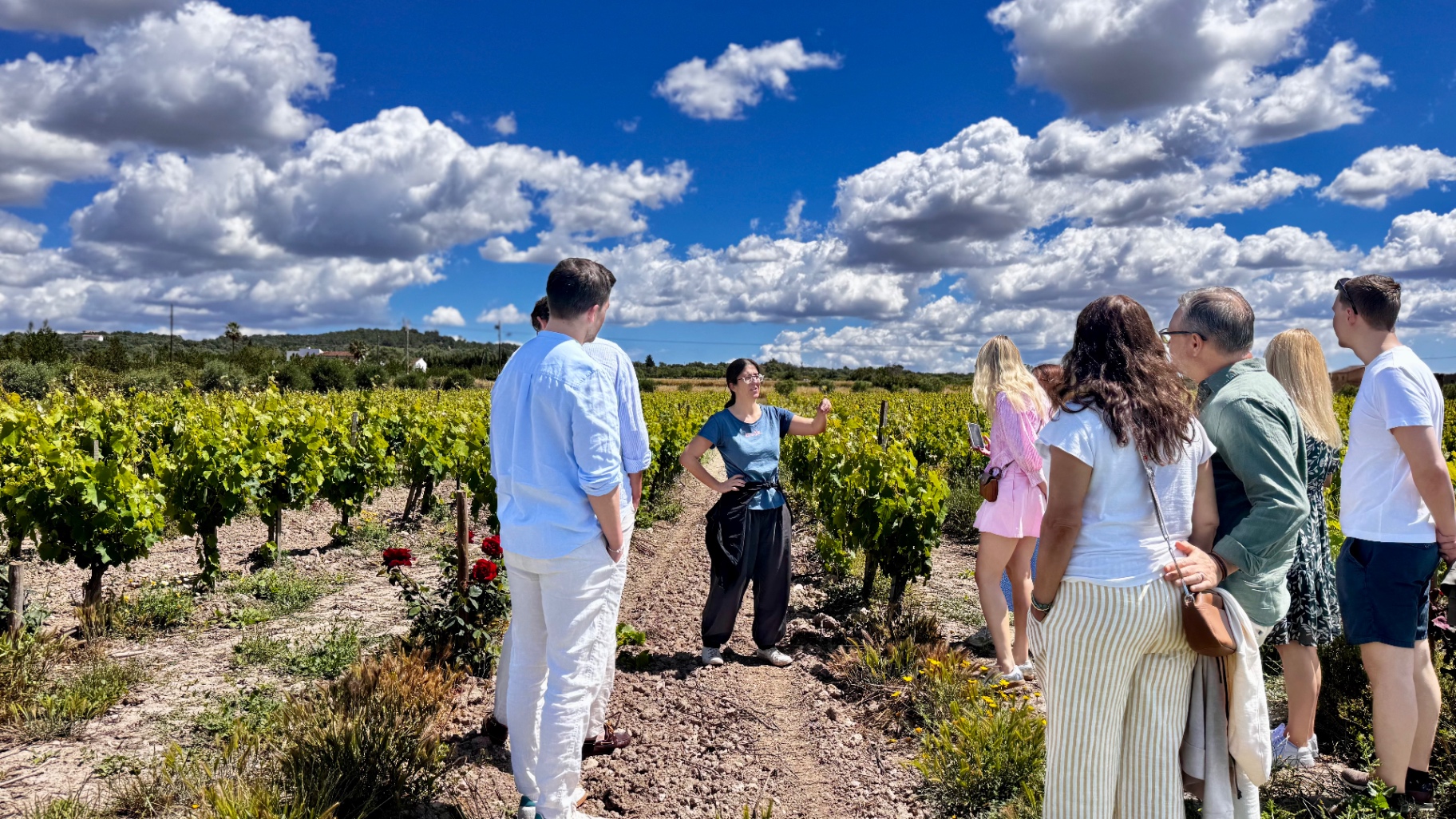 Weinbergführung mit Gästen unter mallorquinischem Himmel